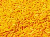 Open Letter From Nobel Laureates Supporting GMO's
