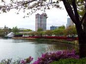 Songpa Naru Park Banpo Hangang