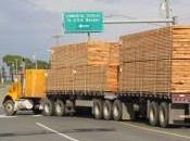 Improving Cross Border Security Your Freight