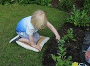 Must Have Items Keeping Your Garden Great This Summer