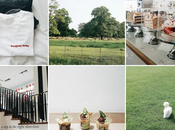 Edit Instagram Midweek Rose Gold iPhone Treat You!