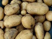 Growing Potatoes Containers