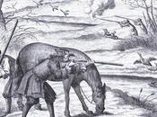 Stalking Horse Religion