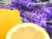 Lemon Lavender Type Fragrance