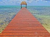 Power Asking Quest 1,000,000 Social Shares