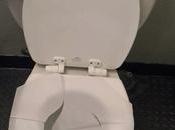 After Reading This, You’ll Never Toilet Paper Seat Again.