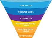 Fresh Leads Helping Your Business Grow With Smooth Pace!
