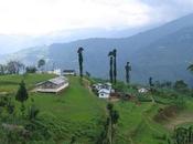 Backpacking Around Darjeeling Days, List Tourist Places Visit