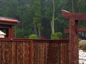 Reed Privacy Fence Designs