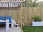 Reed Fencing: Attractive Your Yard
