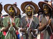 Cure Salee, Festival Nomads