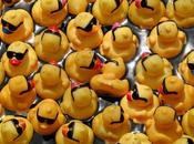 Need Windy City Rubber Ducky Derby