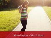 Weeks Pregnant What Expect Complete Guide)