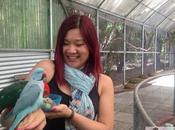 Family, Story, Dreams