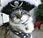 Plundering Cats Dressed Pirates