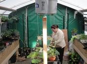 Ideal Care Backyard Greenhouses