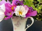 Vase Monday Cheerful Cosmos