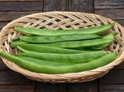 Harvest Monday August 2016