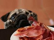 Food Crazy Dogs Love Bacon