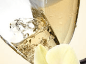 Vanilla Champagne Fragrance