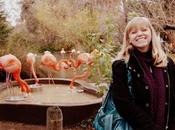 Sunny California Sacramento