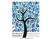 BOOK REVIEW: Best Poetry: Thoughts That Breathe Words Burn Rudolph Amsel Teresa Keyne