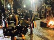 Hungry Could Wildebeest Literally