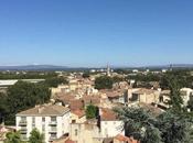 Provençal Summer