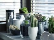 Increase Amount Natural Light Your Home