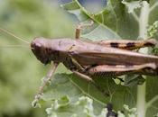 A.D.H.D. Industrial Complex