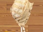 Superconductor Audio Guide: Nozze Figaro