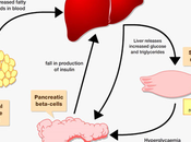 Diabetes Natural Supplements Ayurveda