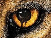 Plumbing Future Past Thrills