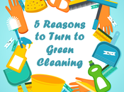 Reasons Turn Green Cleaning