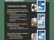 Ailing Failing: Guide Common Window Problems