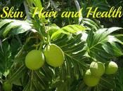 Breadfruit Benefits Uses Skin, Hair Health