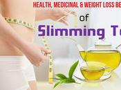 Slimming Health, Medicinal Weight Loss Benefits