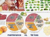 Much Should Ketogenic Diet?