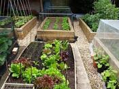 Interview with Green Gardens