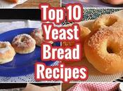Yeast Bread Recipes