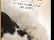 FREEBIE: Healthy Homemade Treats Your Cats Dogs