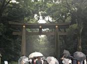 Postcards From Tokyo
