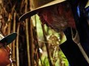 Hunt Wilderpeople (2016): Upbeat, Uplifting, Upgoing Reminiscent