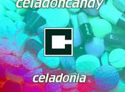 Review: Celadon Candy Celadonia