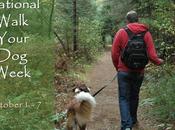 #NationalWalkYourDogWeek #October