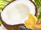 Exotic Coconut Type Fragrance
