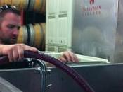 redThread™ Exclusive Conversation with Artisan Wine Maker Linn Scott Sparkman Cellars