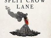 Apprentice Split Crow Lane Jane Housham