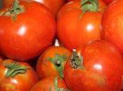 Scalloped Tomatoes with Herbs