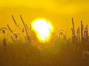 Yikes! This Post Number 4072